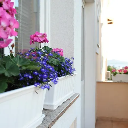Apartment Ana *